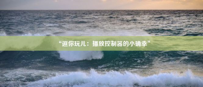 “逗你玩儿：播放控制器的小确幸”