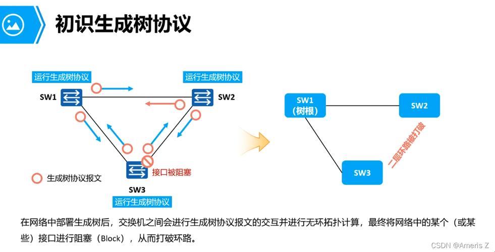 探秘生成树协议：科技领域的工作构成之谜