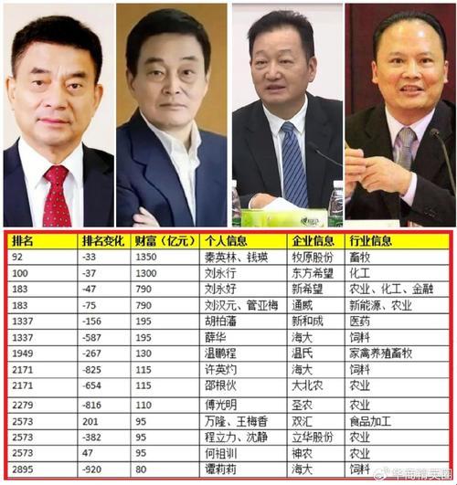 2024年中国富豪排行榜：科技领域的惊艳变革