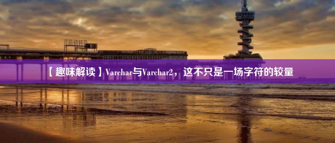 【趣味解读】Varchar与Varchar2，这不只是一场字符的较量