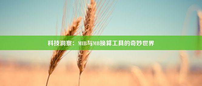 科技洞察：MIB与MB换算工具的奇妙世界