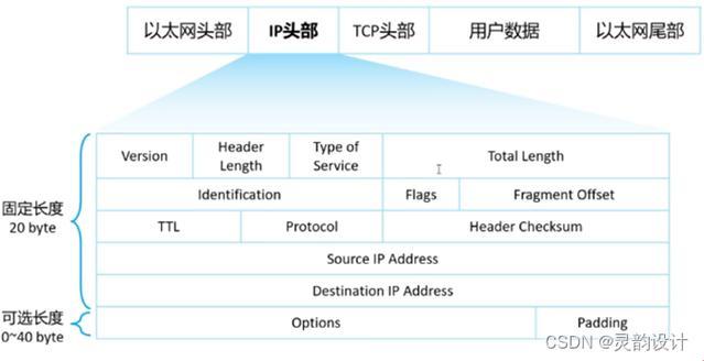 ICMP，IP的小尾巴，你甩也甩不掉的“跟屁虫”