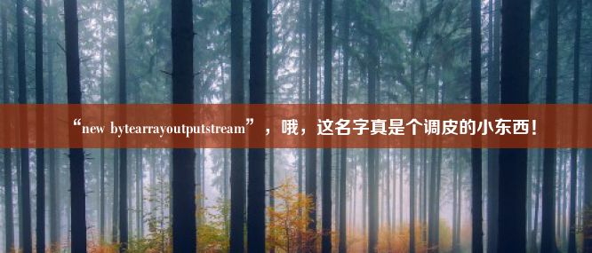 “new bytearrayoutputstream”，哦，这名字真是个调皮的小东西！