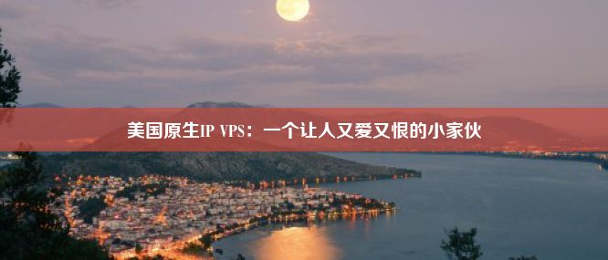 美国原生IP VPS：一个让人又爱又恨的小家伙