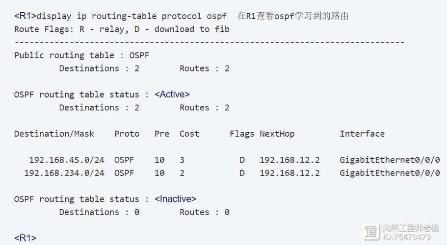 OSPF与反掩码的“不解之缘”：一场可爱的网络迷局