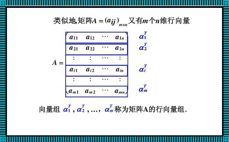 n维向量表示举例：探索科技的新境界