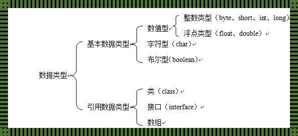 “变脸”的艺术：Java变量类型转换的奇妙之旅