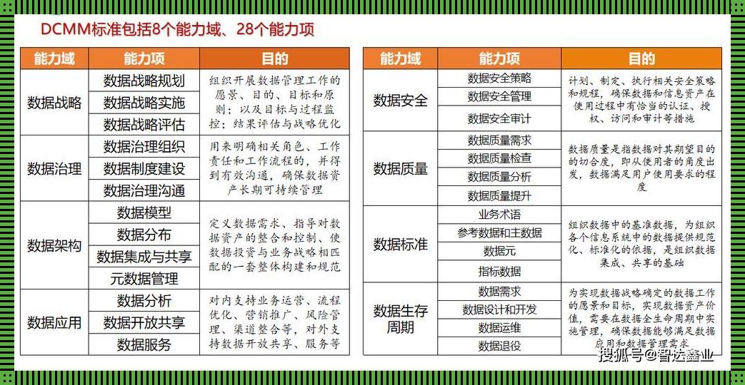 揭秘科技领域的黄金标准：数据管理成熟度四级特征