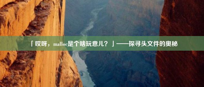 「哎呀，malloc是个啥玩意儿？」——探寻头文件的奥秘