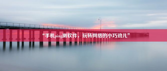 “手机ping测软件，玩转网络的小巧劲儿”