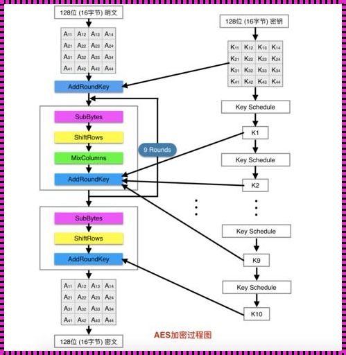 《AES加密：可爱的“密码糖果”》