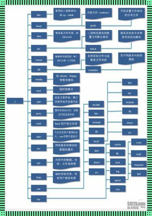 Linux拷贝整座“文件夹森林”：一场可爱的穿梭之旅