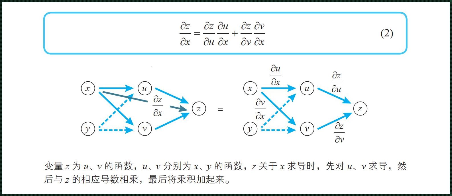 科技探秘：多元微分链式法则的惊世之才