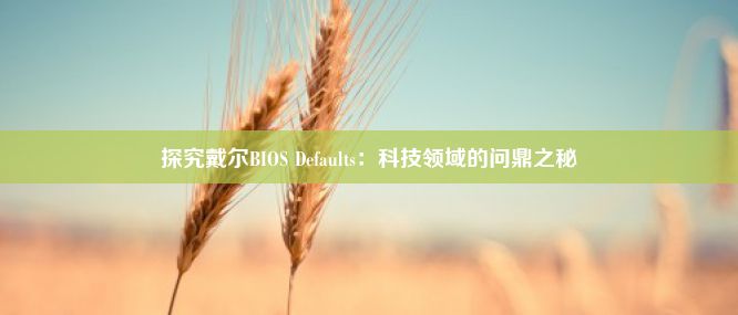 探究戴尔BIOS Defaults：科技领域的问鼎之秘