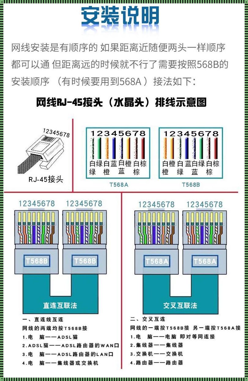 网线大揭秘：喵星人带你探险线缆世界