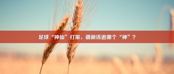 足球“神仙”打架，萌新该追哪个“神”？