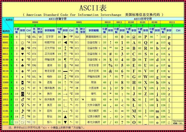 《nullsclash笑谈：代码世界的烟花大会》