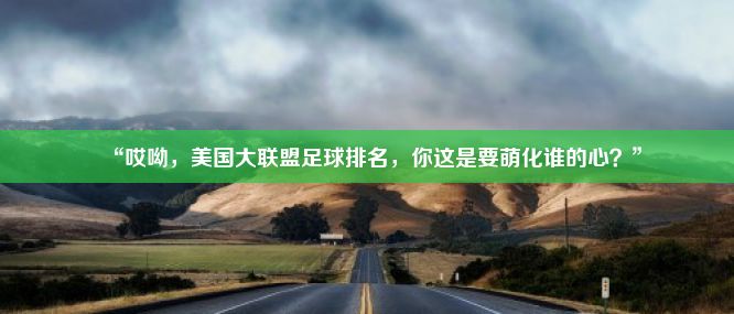 “哎呦，美国大联盟足球排名，你这是要萌化谁的心？”