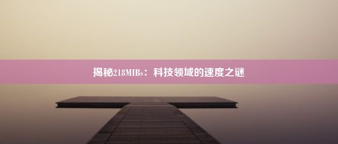 揭秘218MIBs：科技领域的速度之谜