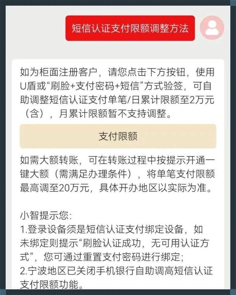 和平支付交易限额解禁之谜：科技之光下的等待时长