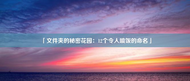 「文件夹的秘密花园：12个令人喷饭的命名」