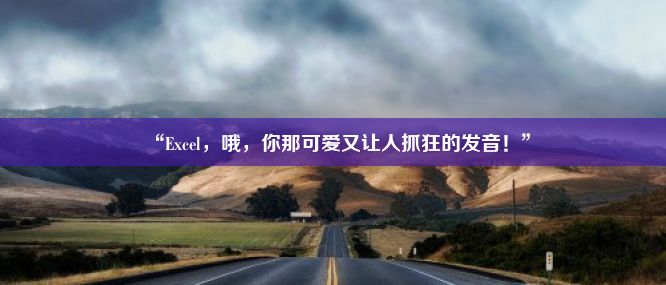 “Excel，哦，你那可爱又让人抓狂的发音！”