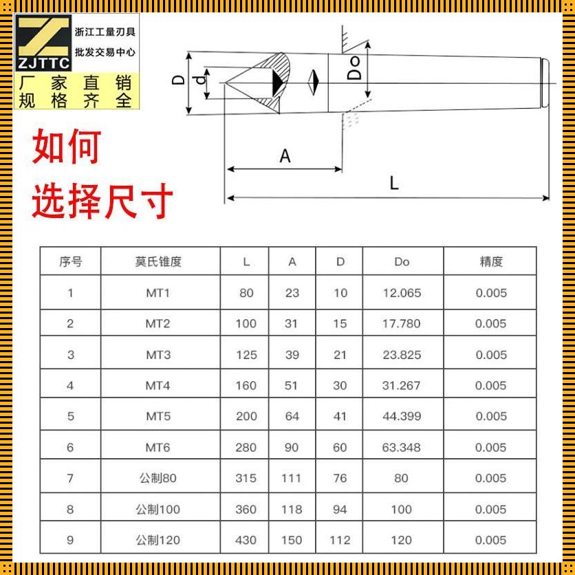 《莫氏5号，风情万种的顶尖探险》