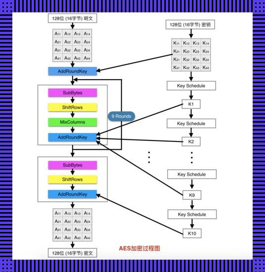 《AES加密：密码界的“俄罗斯套娃”之谜》