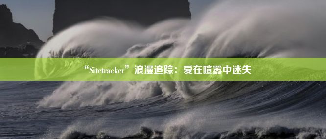 “Sitetracker”浪漫追踪：爱在喧嚣中迷失