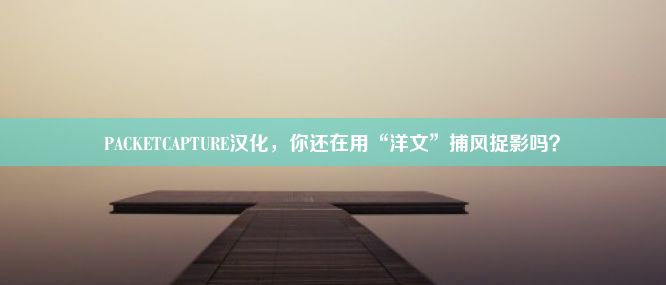 PACKETCAPTURE汉化，你还在用“洋文”捕风捉影吗？