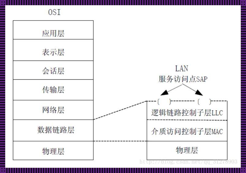 fddi数据链路层探秘：科技领域的惊艳分化