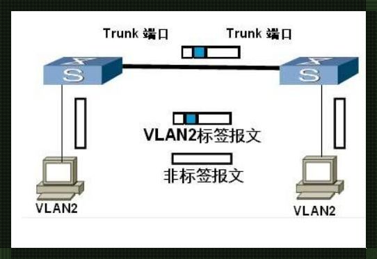 交换机和交换机之间，还能不能用access？