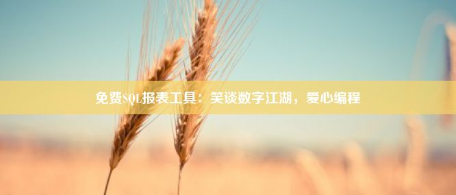 免费SQL报表工具：笑谈数字江湖，爱心编程