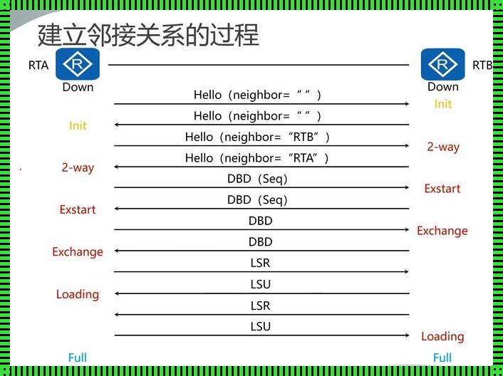 OSPF：协议里的那些“小道消息”