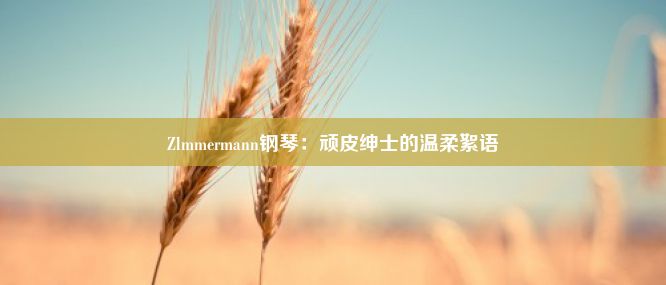 Zlmmermann钢琴：顽皮绅士的温柔絮语