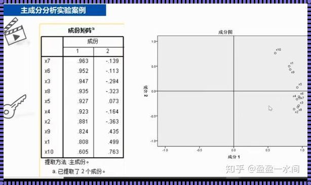 SPSS主成分分析法：统计世界的“整形手术”