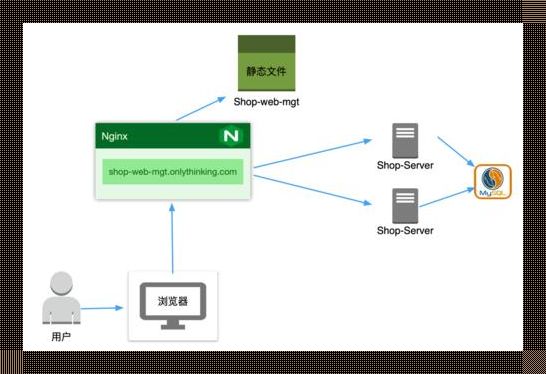 Springboot与Vue强强联手：探索前后端交互的科技魅力