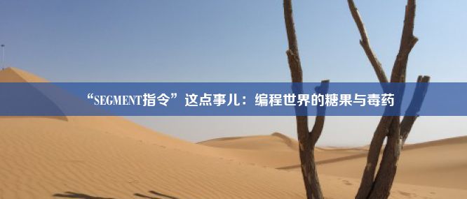 “SEGMENT指令”这点事儿：编程世界的糖果与毒药