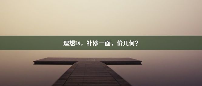 理想L9，补漆一面，价几何？