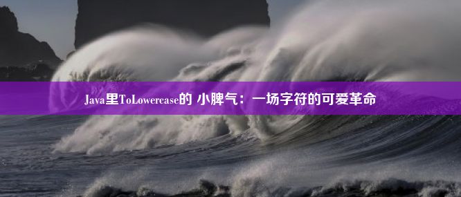 Java里ToLowercase的 小脾气：一场字符的可爱革命