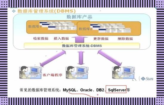 “数据库管理系统，那些可爱的‘看门人’”