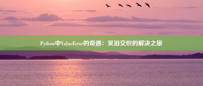 Python中ValueError的奇遇：笑泪交织的解决之旅