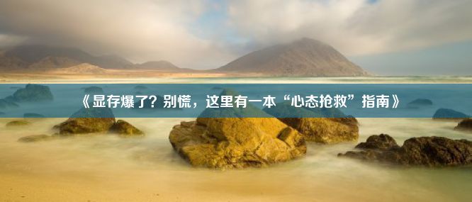 《显存爆了？别慌，这里有一本“心态抢救”指南》