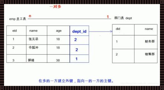 探索数据库主键外键联系的科技奥秘