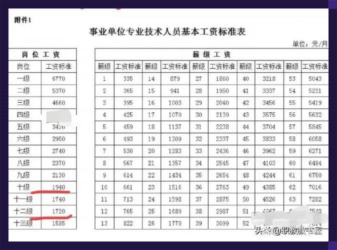 晋升之路：金榜题名后的“含金量”探讨