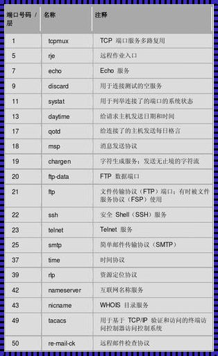 “本地独尊”：端口号的科技内涵与安全策略