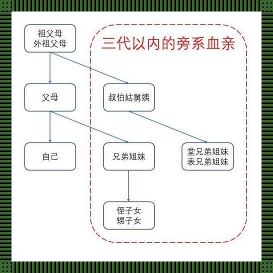 科技之舞：探索两人关系的多种形态