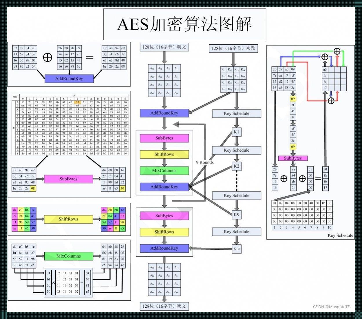 探索科技奥妙：AES加密算法，密钥之灵魂