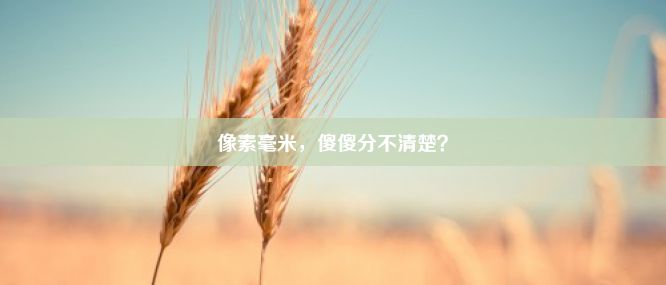 像素毫米，傻傻分不清楚？