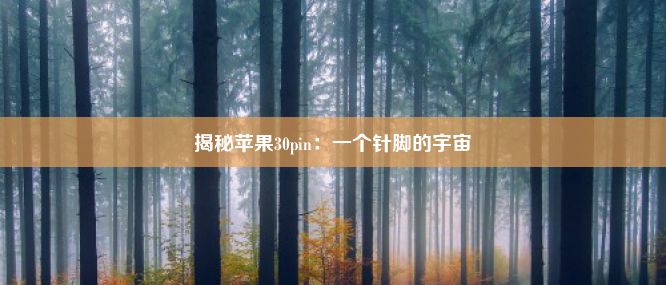 揭秘苹果30pin：一个针脚的宇宙